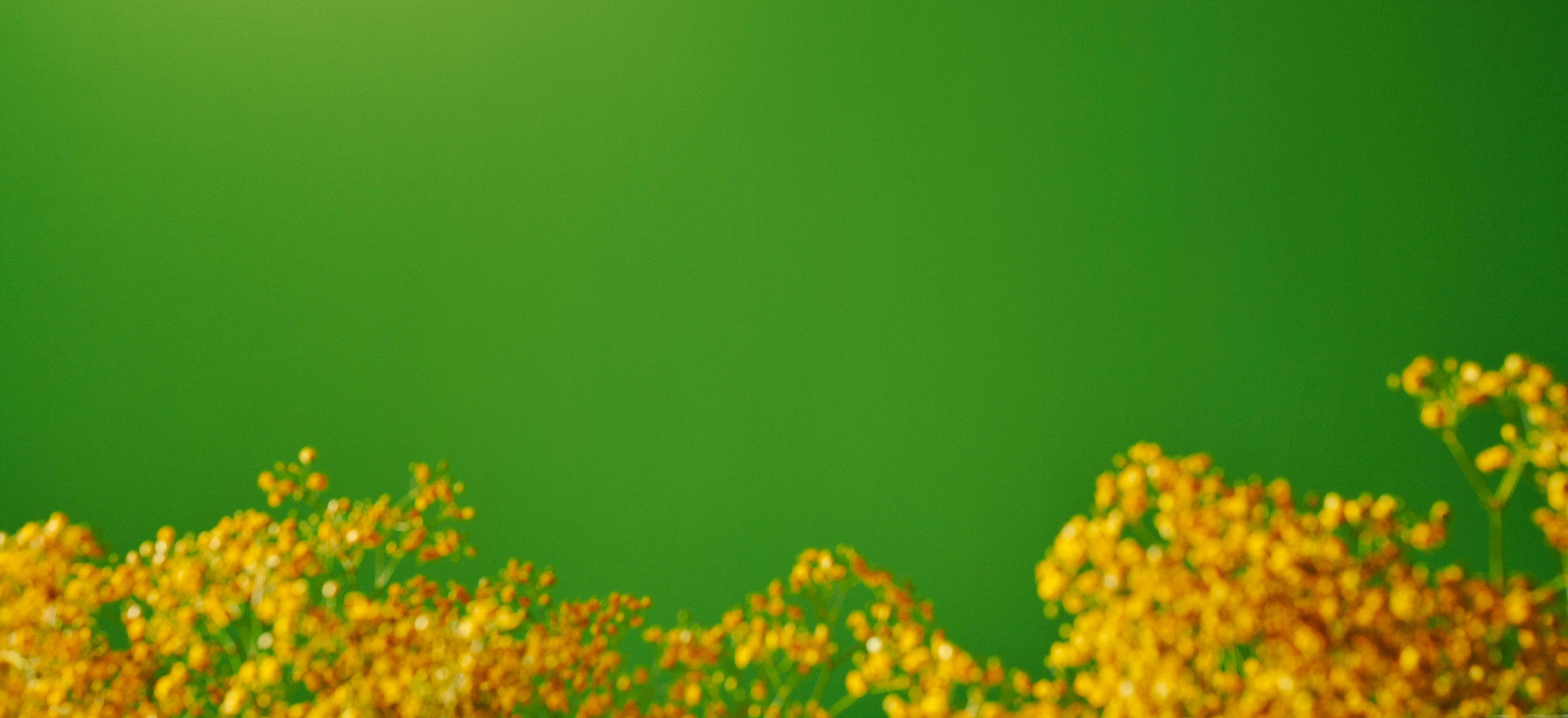 20230405_AINOA_0649(1)