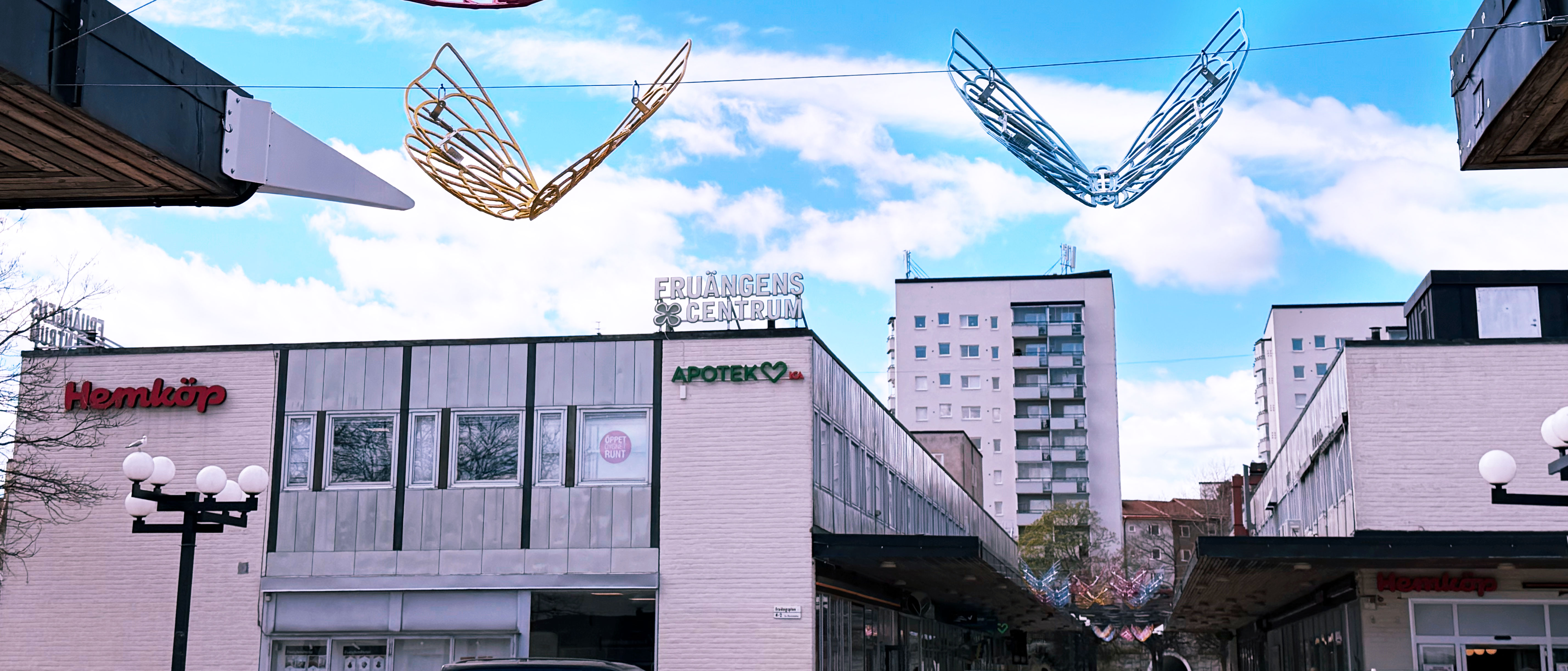 Banner image