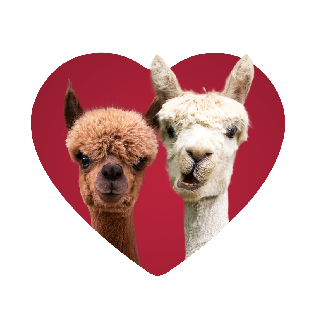 JOULUN AJAN OHJELMISTO