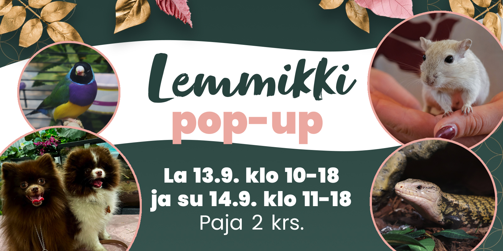 Karisma_Muotitapahtuma_2025_tapahtumasivu_lemmikki-pop-up.jpg
