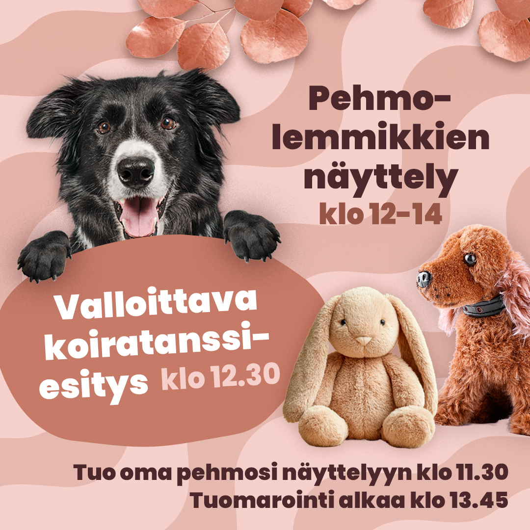 Karisma_lasten viikonloppu_2025_tapahtumasivu_2LA2