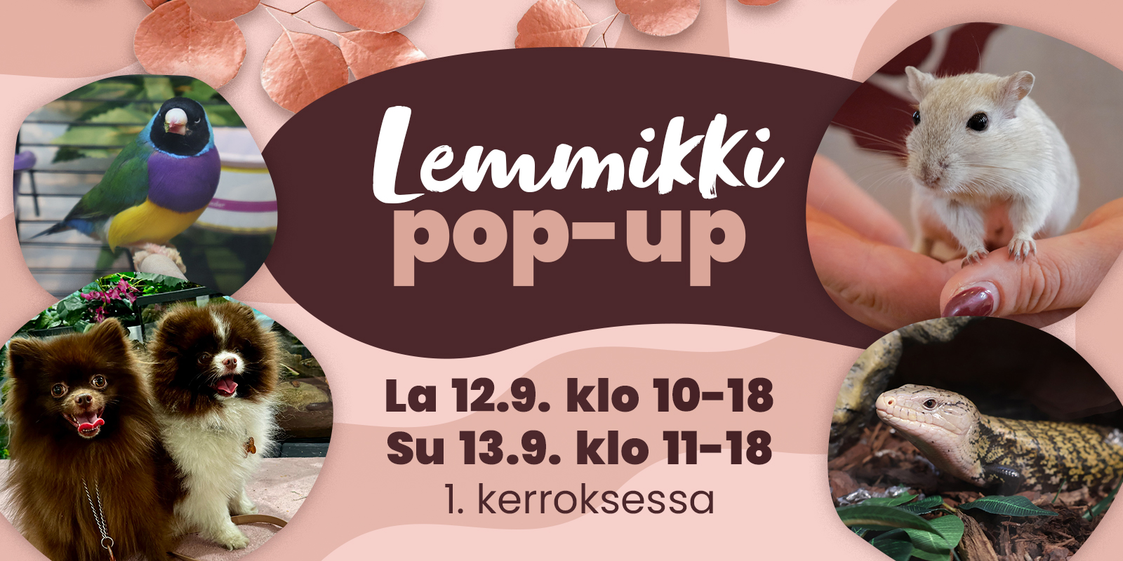Karisma_Muotitapahtuma_2025_tapahtumasivu_lemmikki-pop-up.jpg