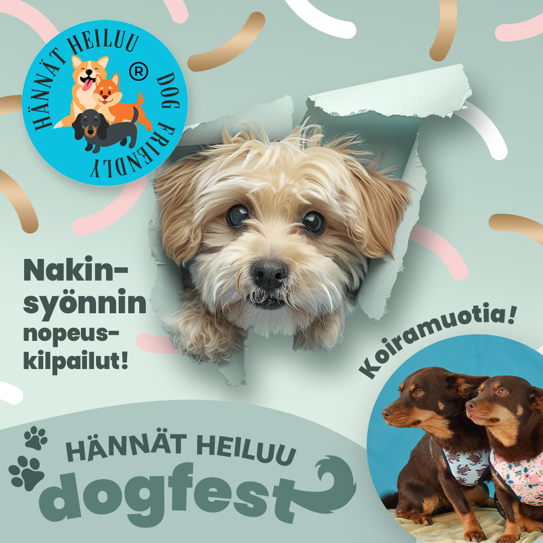 Karisma_talvilomapuuhaa26_dogfest1.jpg