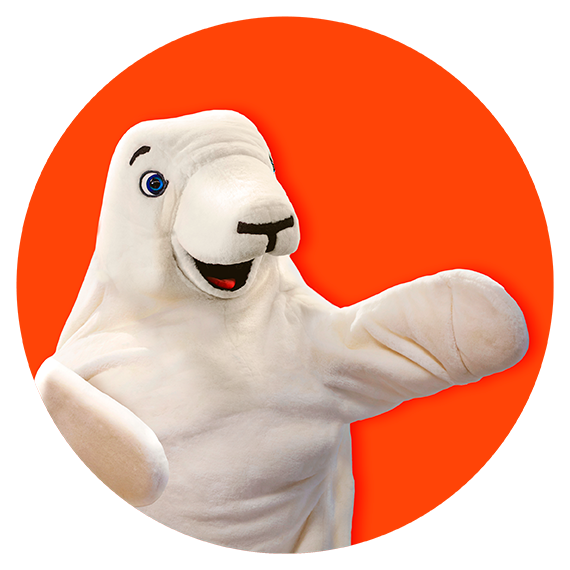 Harri (6).png