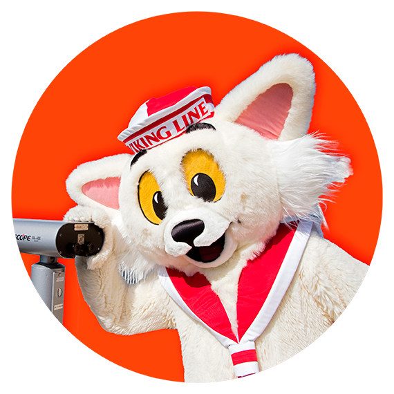 Ville_Viikinki (5).png