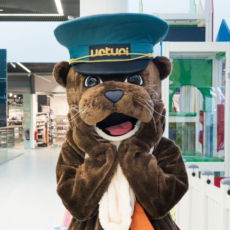 Sakke leikkipaikalla 800 px.jpg